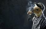I Am xtc's Photo