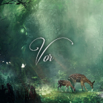 Vor's Photo