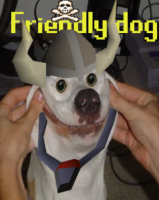 Friendly Dog's Photo
