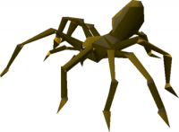 Giant Spider's Photo