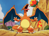 Charizard's Photo