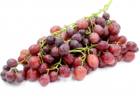 Sweet Grapes's Photo