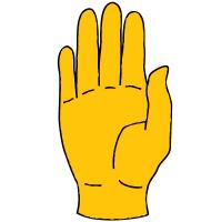 yellow hand's Photo