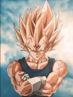 Vegeta's Photo