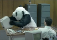Fast Panda's Photo