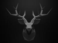 Elite Stag's Photo