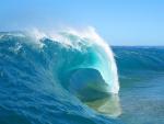 Wave's Photo