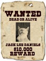 publicenemy1's Photo