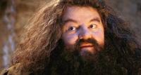 Hagrid's Photo