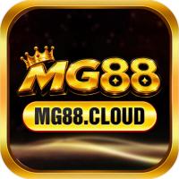 mg88cloud's Photo