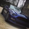 S550 mustang's Photo