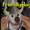 Iron Champie's staff feedback - last post by Friendly Dog