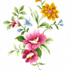 Colour Alphabet Game - last post by Flowers