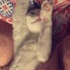 hello! - last post by Crash Kid
