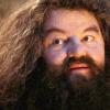 Hagrid's Photo